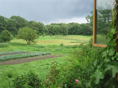 A view out the back door during a June rainstorm