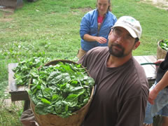 Jason preparing spinach for the CSA