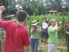 Workshop participants use refractometers to determine the level of brix (soluble solids) in plant sap. A high brix is an indicator of good plant health. Taken on Saturday, July 11th, 2009